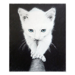 Foto Gatito blanco lindo Arte de dibujo de animales Ama