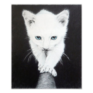 Foto Gatito blanco lindo Arte de dibujo de animales Ama