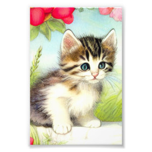 Foto Gatito blanco y marrón vintage con flores