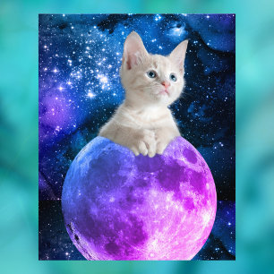 Foto Gatito Cutto En La Luna, Estrellas Brillantes, Uni