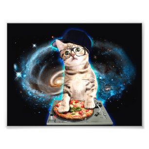 Foto gatito de DJ