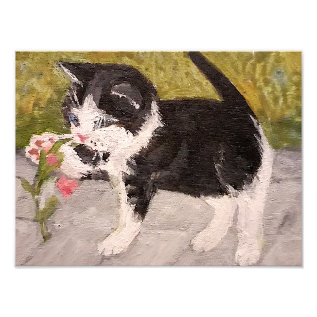 Foto Gatito jugando con flor rosa (Frente)