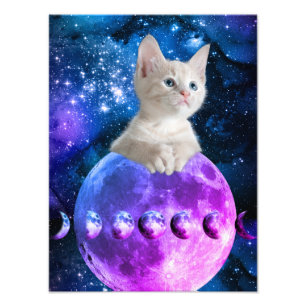 Foto Gatito Lindo En La Luna Estrellas Brillantes Unive