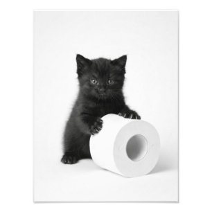 Foto Gatito negro bebé protegiendo rollo de papel higié