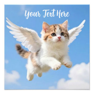 Foto Gatito Volador Adorable Calico Tabby Cielo Azul
