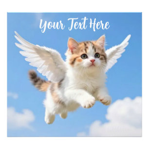 Foto Gatito Volador Adorable Calico Tabby Cielo Azul