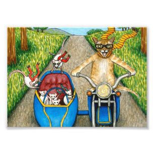 Foto Gato 384 gato y ratones divertidos en motocicleta
