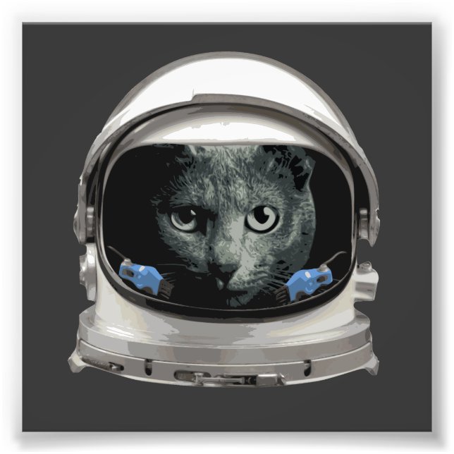 Foto Gato astronauta de casco espacial (Frente)