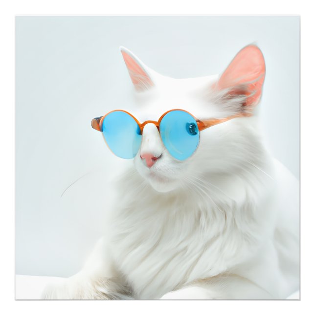 Foto Gato blanco lindo con gafas (Frente)
