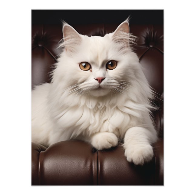 Foto Gato blanco majestuoso (Frente)