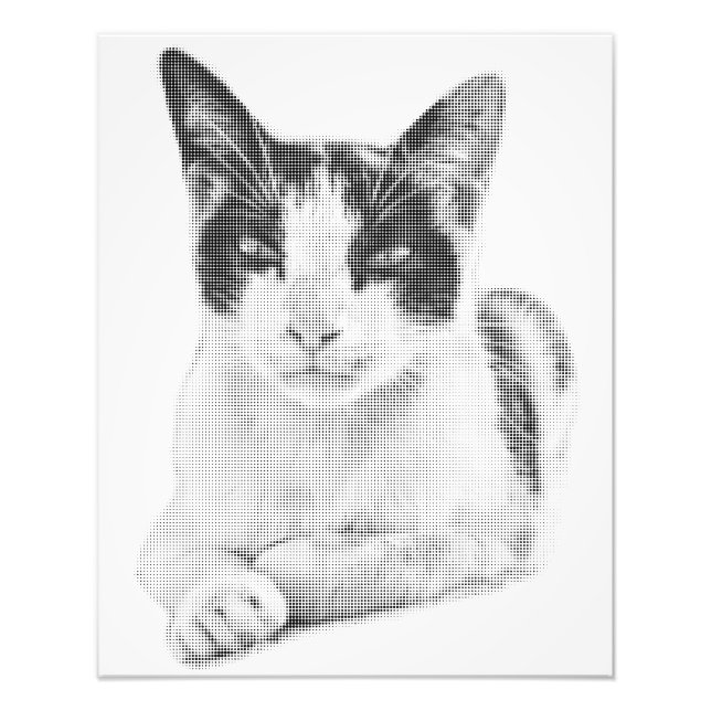 Foto Gato Calico Cómic Halftone (Frente)