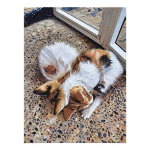 Foto Gato Calico relajándose pacíficamente en suelo tex