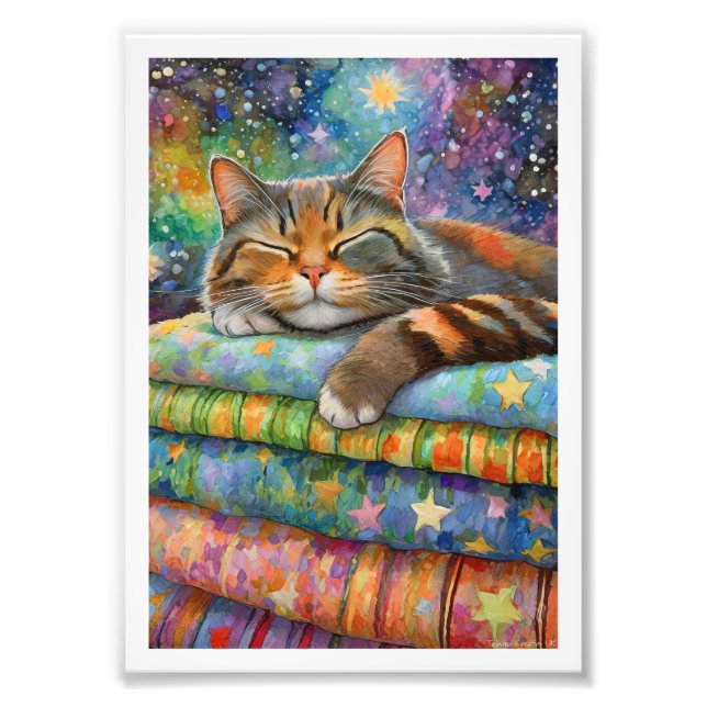 Foto Gato con Caparazón de Tortuga Noche Estrellada (Frente)