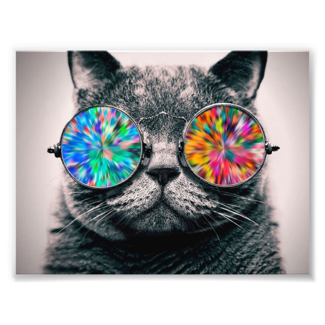 Foto Gato con gafas de colores (Frente)