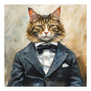 Foto Gato con traje