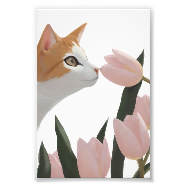 Foto Gato Curioso Floral de Primavera (Frente)