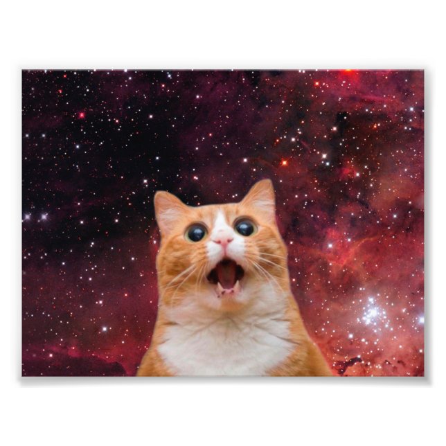 Foto Gato de espacio asombroso (Frente)