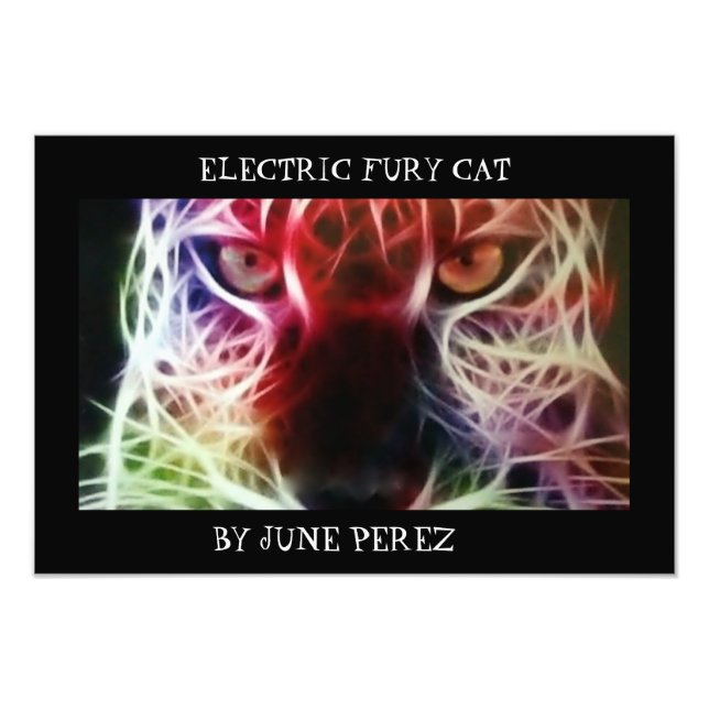 FOTO GATO DE FURO ELÉCTRICO (Frente)