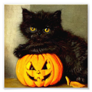 Foto Gato de Halloween vintage y linterna de Jack-o