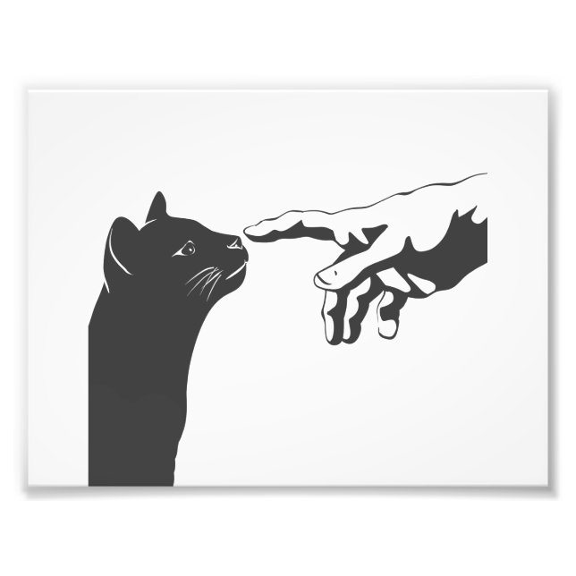 Foto Gato de Michelangelo - Elegir color de fondo (Frente)