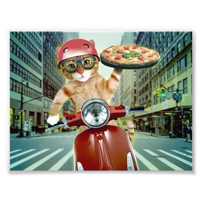 Foto Gato de pizza - gatito - entrega de pizza (Frente)