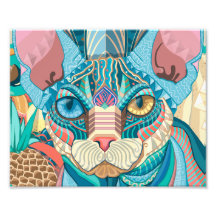 Gato de Sfinx cósmico