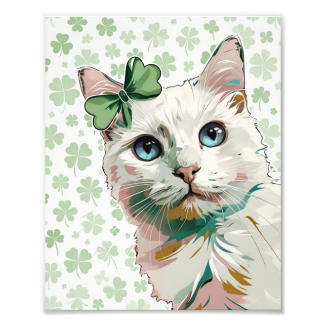 Foto Gato de Shamrock con ojos azules (Frente)