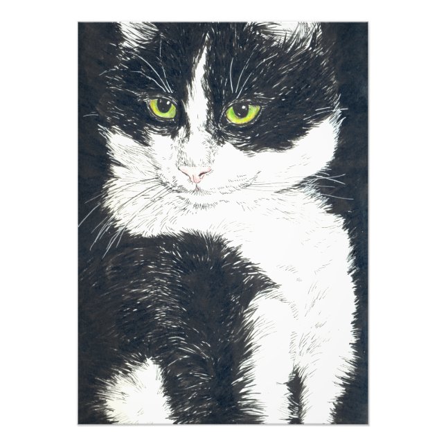 Foto Gato de Tuxedo (Frente)