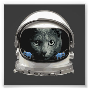 Foto Gato del astronauta del casco de espacio