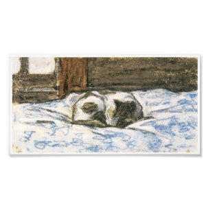 Foto Gato durmiendo en una cama de Claude Monet