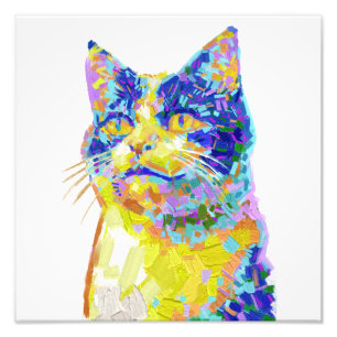 Foto Gato en la luz del sol