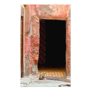Foto Gato en la Medina - Marrakech, Marruecos