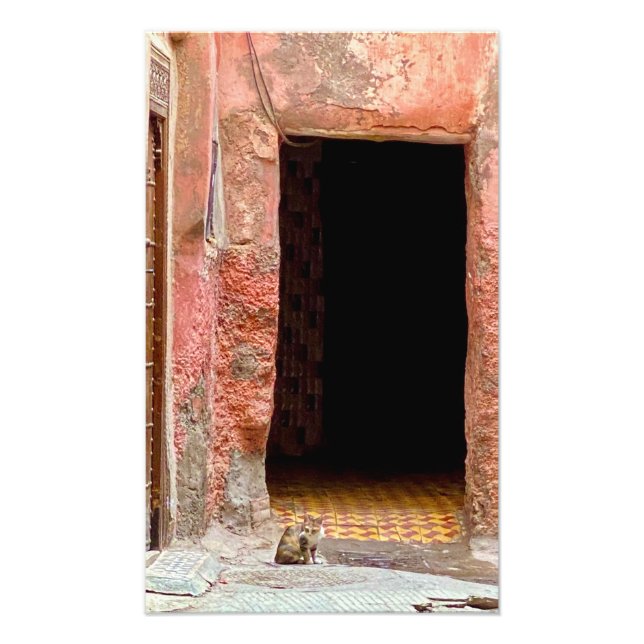 Foto Gato en la Medina - Marrakech, Marruecos (Frente)