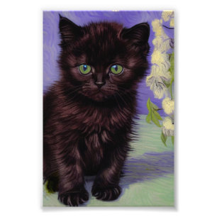 Foto Gato estilo Van Gogh con flores blancas