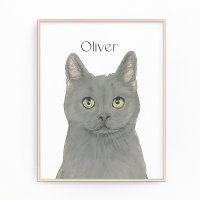 Gato Gris Chartreux personalizado