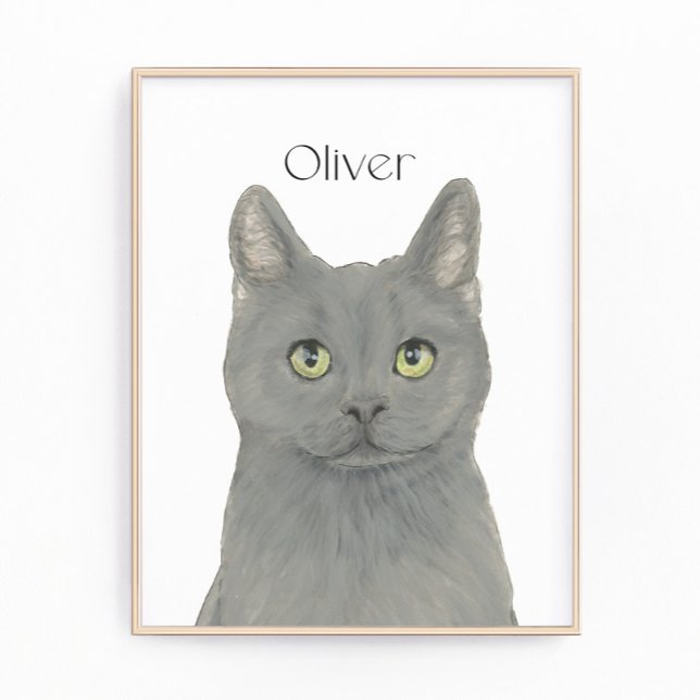 Foto Gato Gris Chartreux personalizado (Subido por el creador)