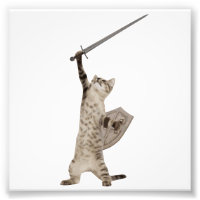 Gato Heroico Guerrero Knight