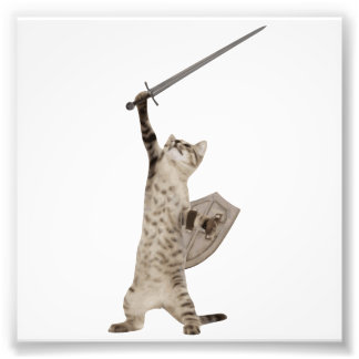 Foto Gato Heroico Guerrero Knight