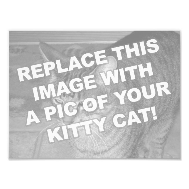 Foto Gato Kitty Personalizado (Frente)