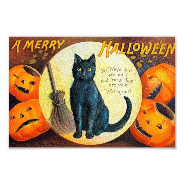 Foto Gato Merry Halloween (Frente)