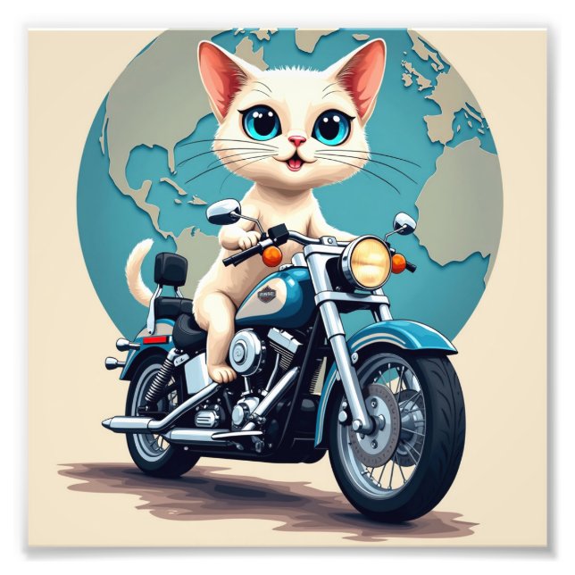 Foto Gato moto (Frente)