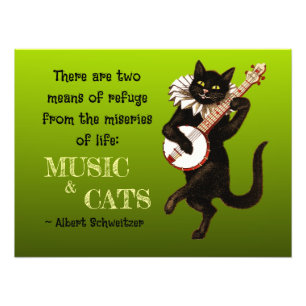 Foto Gato Musical Adorable Dos Medios de Refugio Schwei
