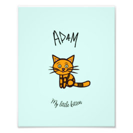 Foto Gato naranja