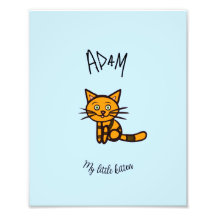 Gato naranja