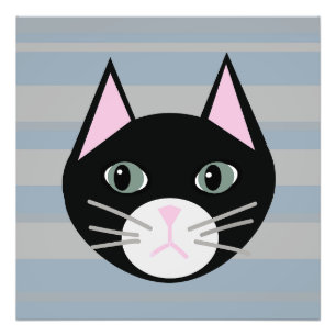Foto Gato negro, bandas