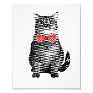Foto Gato negro con sabor a polka rojo