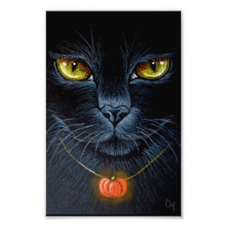 FOTO GATO NEGRO DE HALLOWEEN CON COLGANTE DE CALABAZA 4