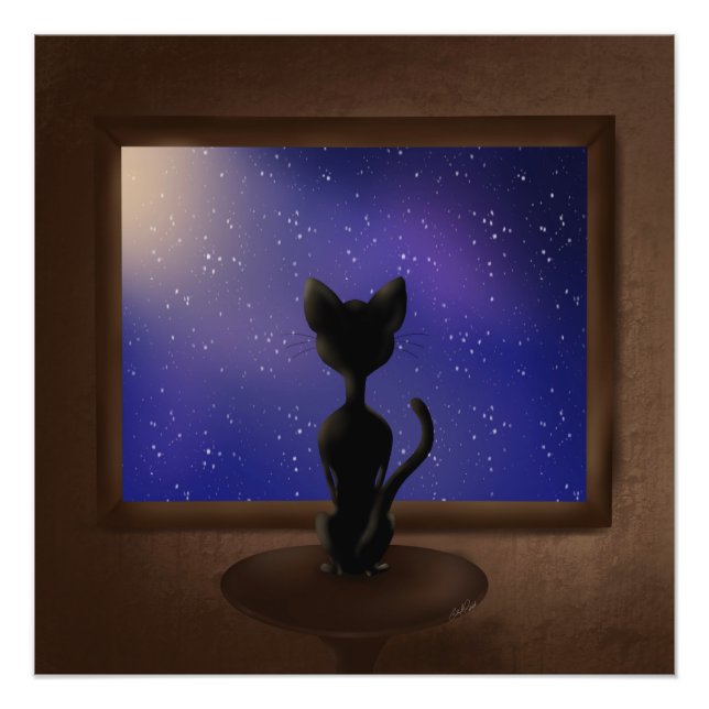 Foto Gato negro mirando las estrellas del cielo nocturn (Frente)