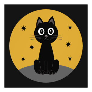 Foto Gato negro sentado viendo las estrellas