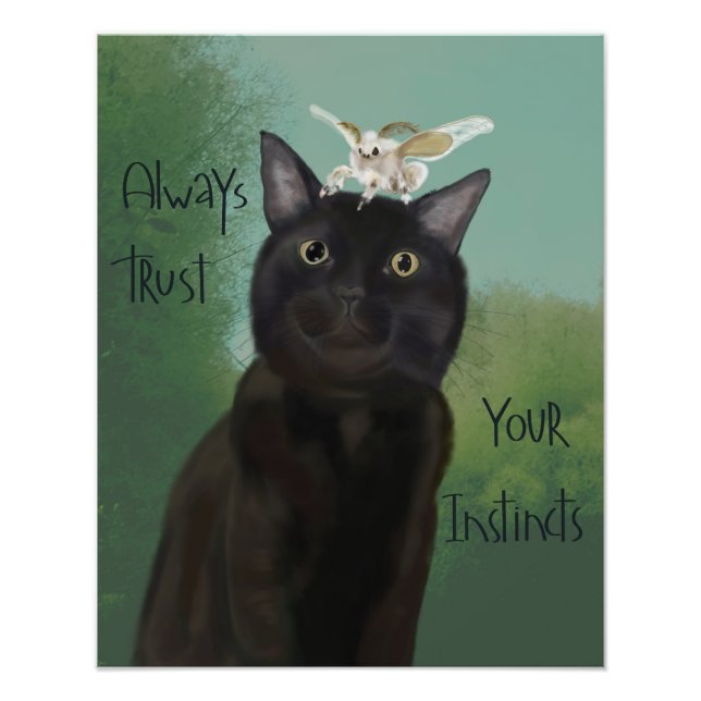 Foto Gato negro y polilla de seda (Frente)